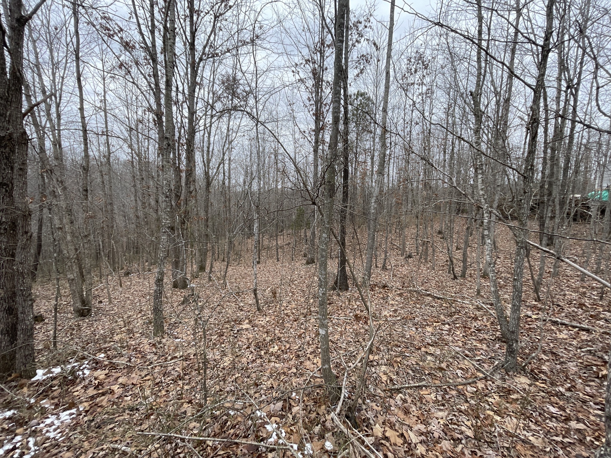 278 Bear Brook Way Property Photo 22