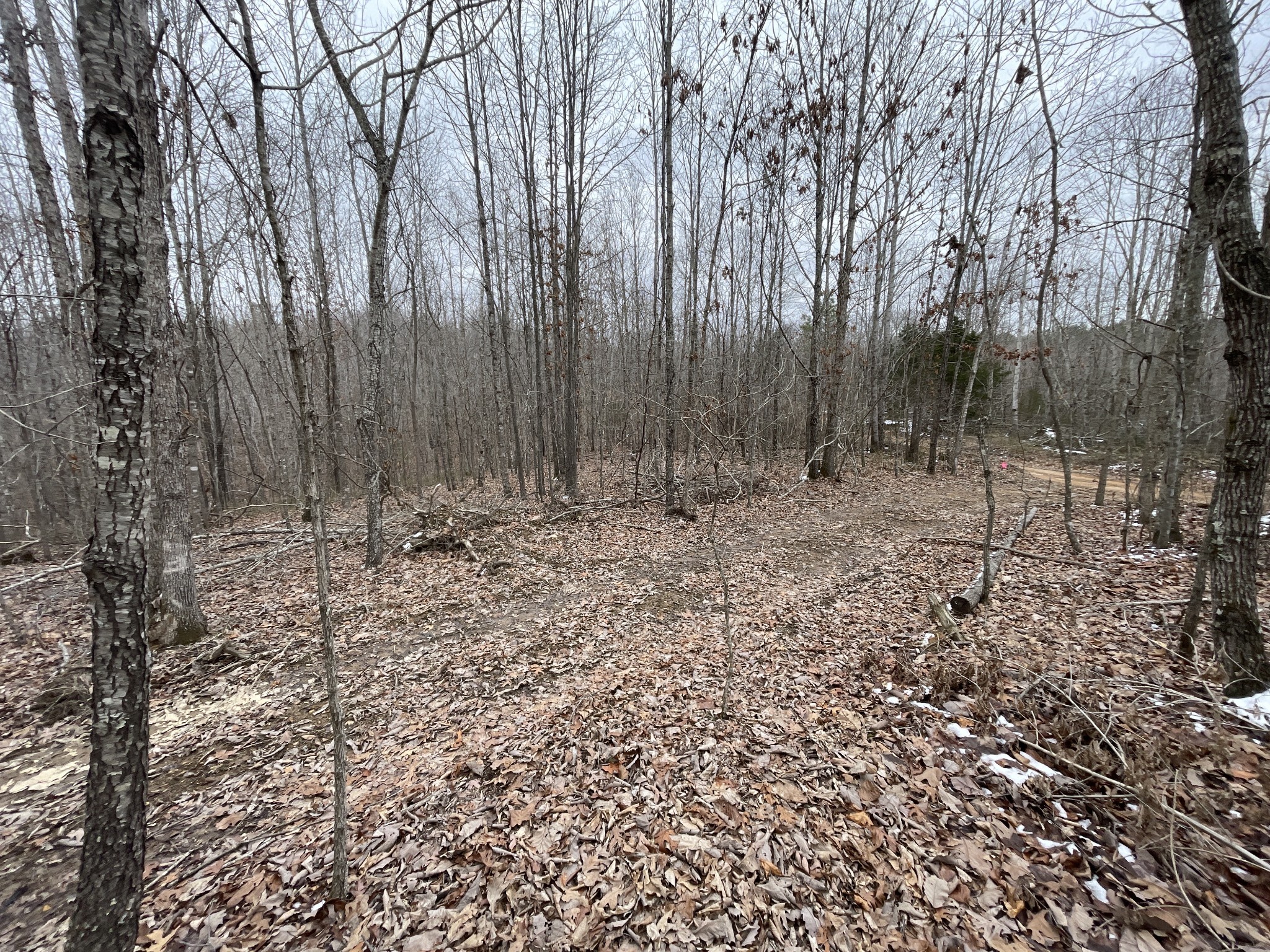 278 Bear Brook Way Property Photo 23