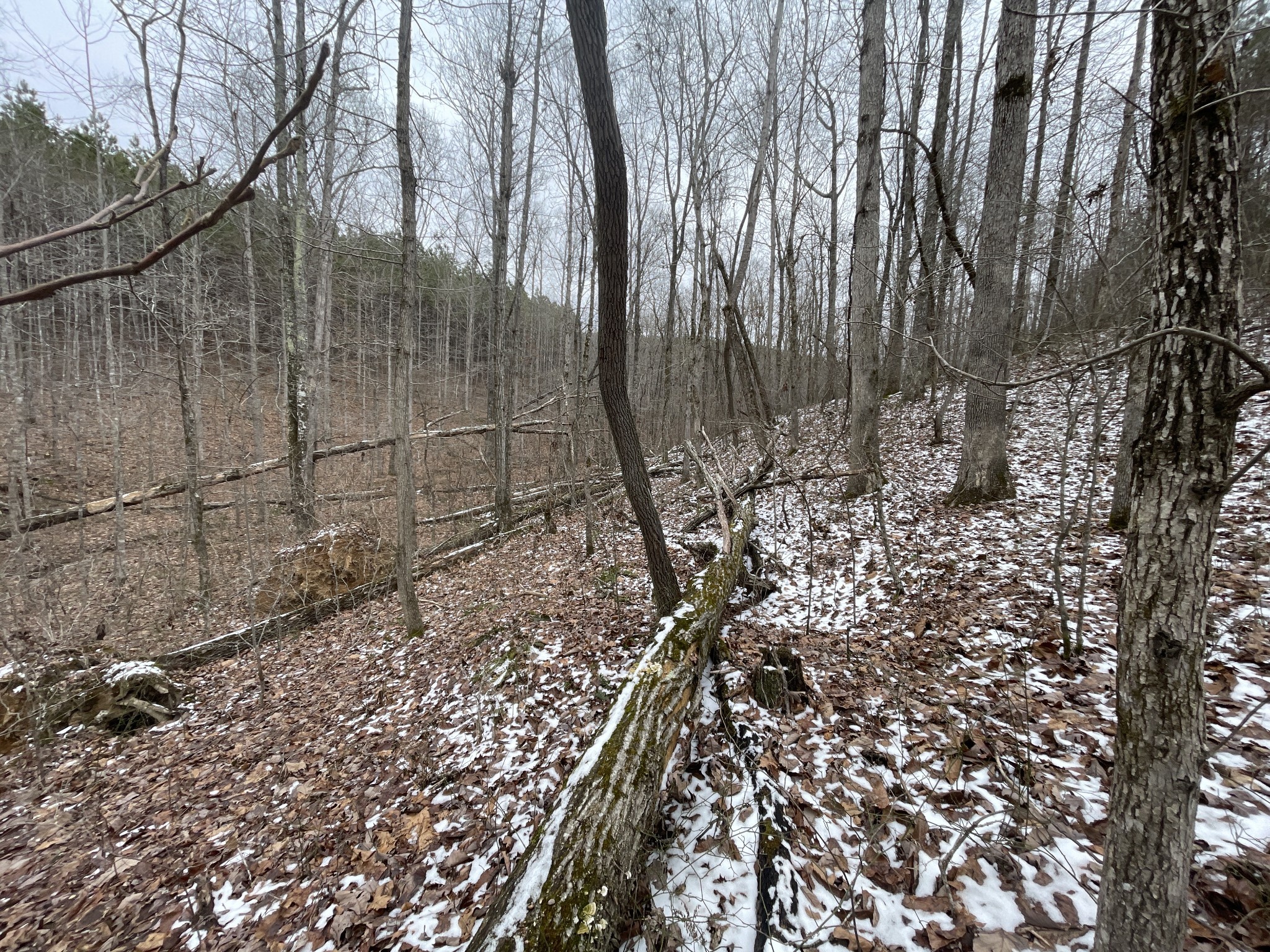 278 Bear Brook Way Property Photo 24