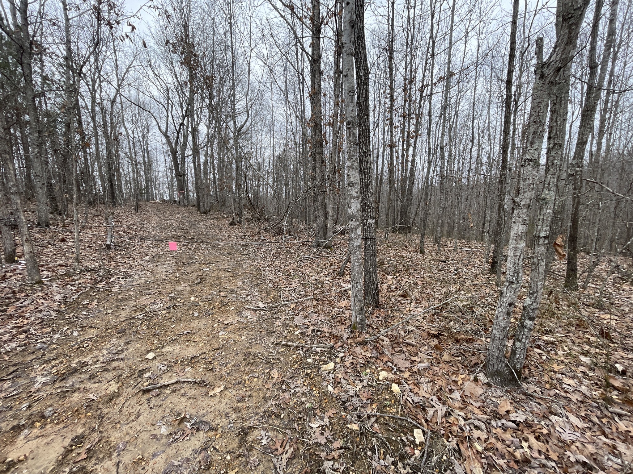 278 Bear Brook Way Property Photo 25