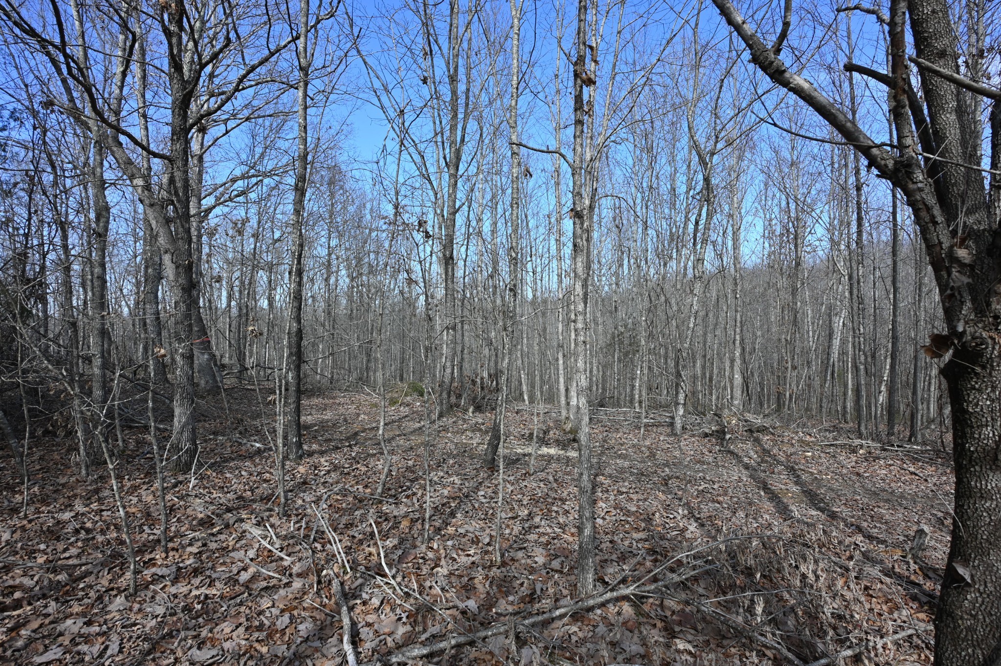 278 Bear Brook Way Property Photo 36