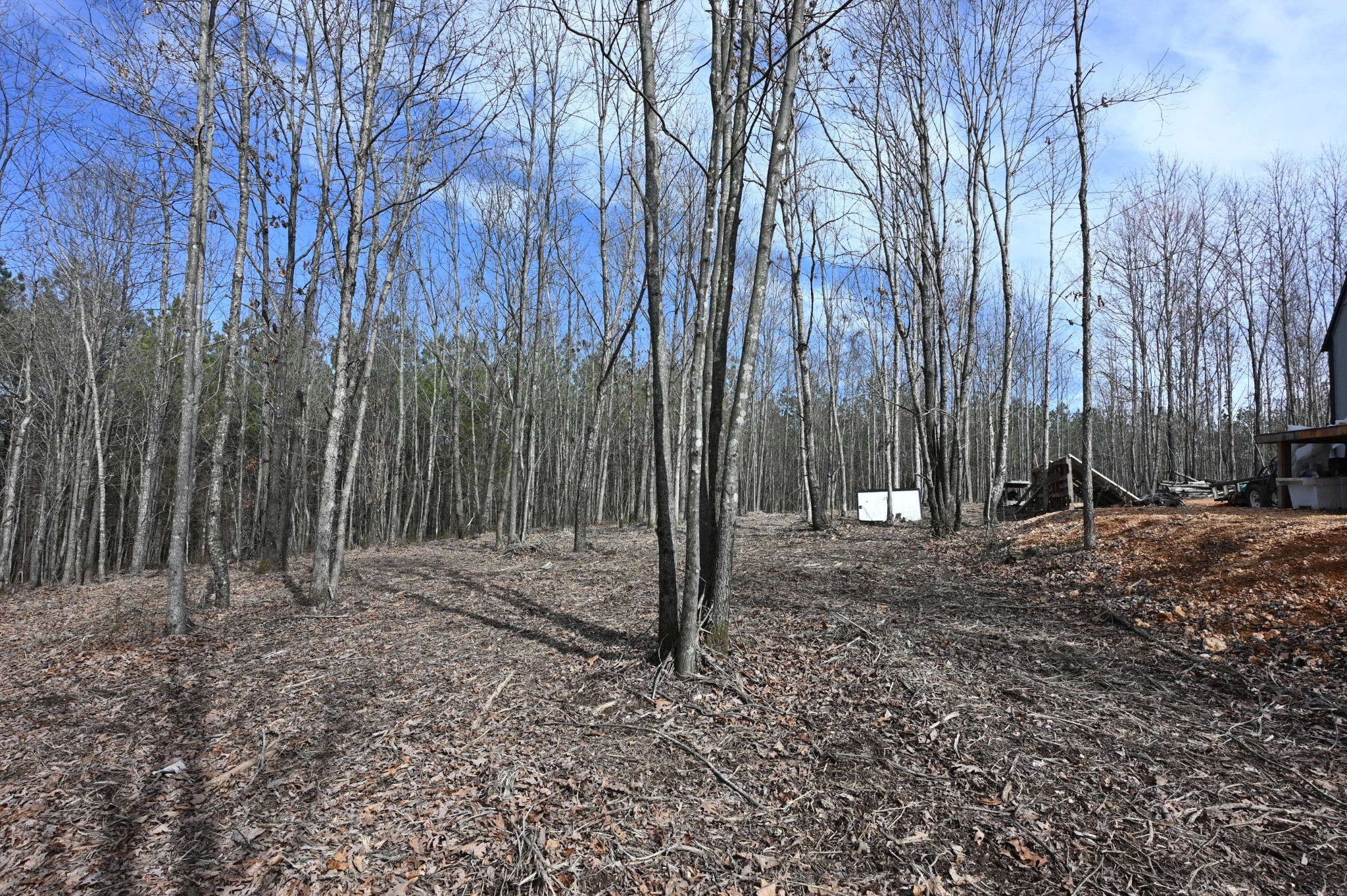 278 Bear Brook Way Property Photo 41