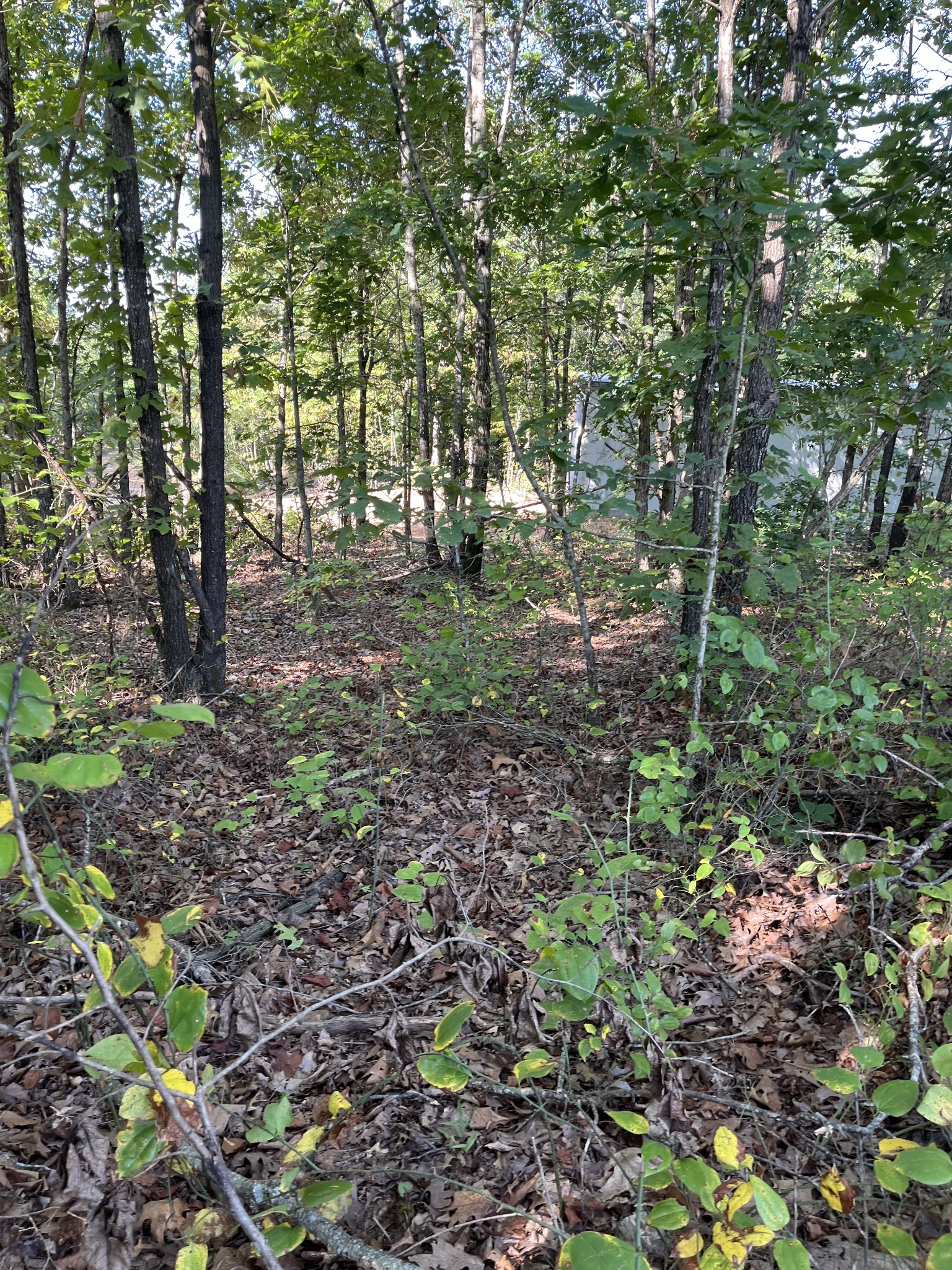 278 Bear Brook Way Property Photo 44