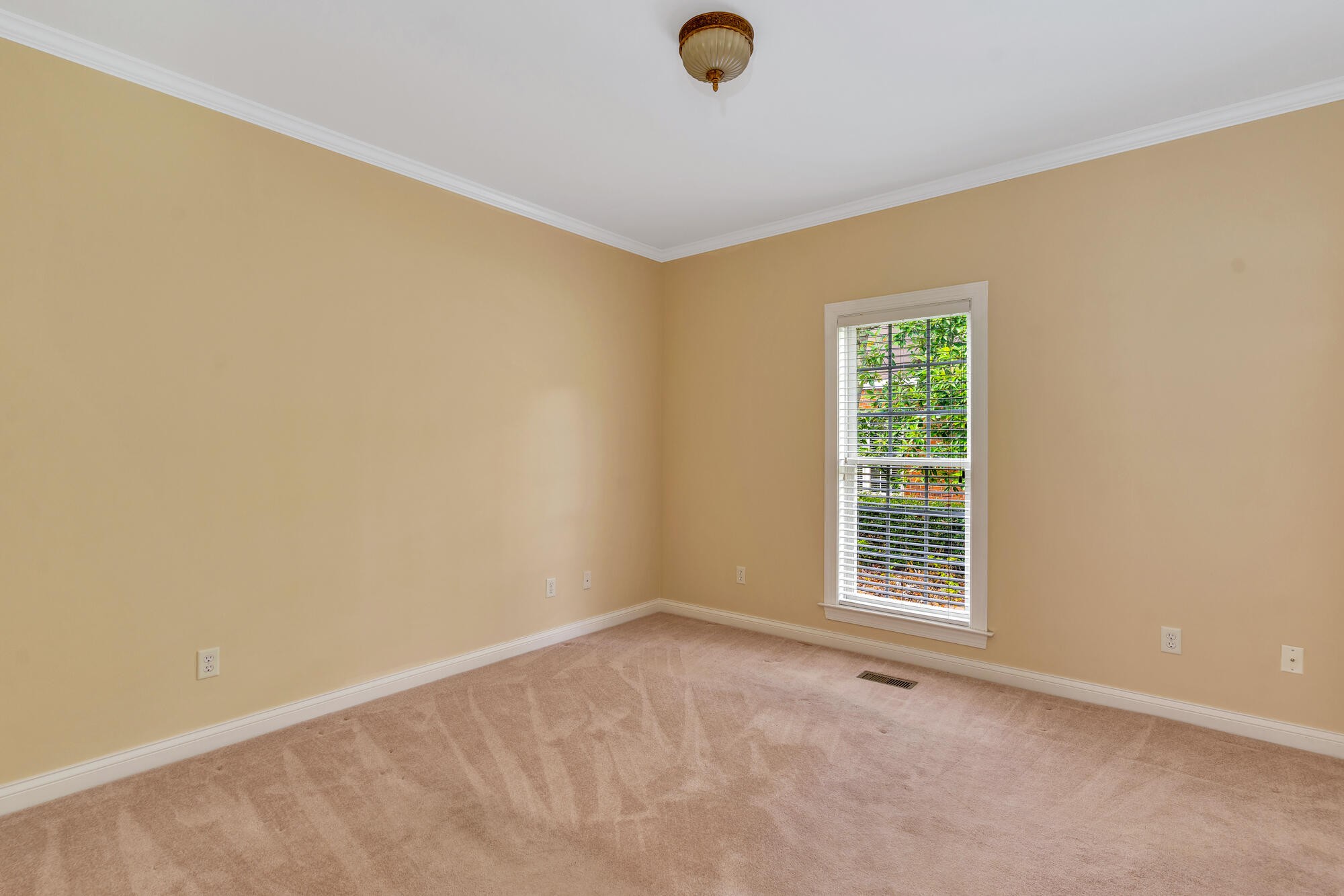 241 Horse Creek Drive Property Photo 16