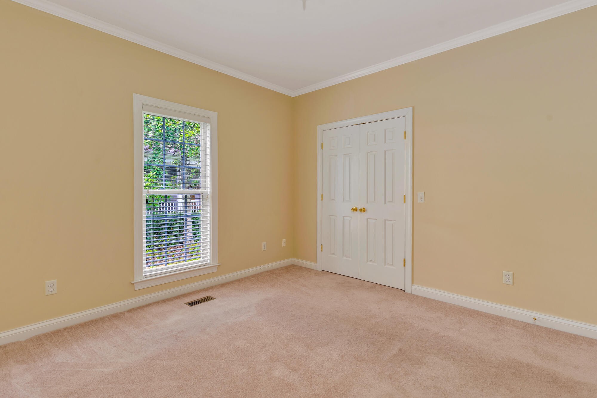 241 Horse Creek Drive Property Photo 17