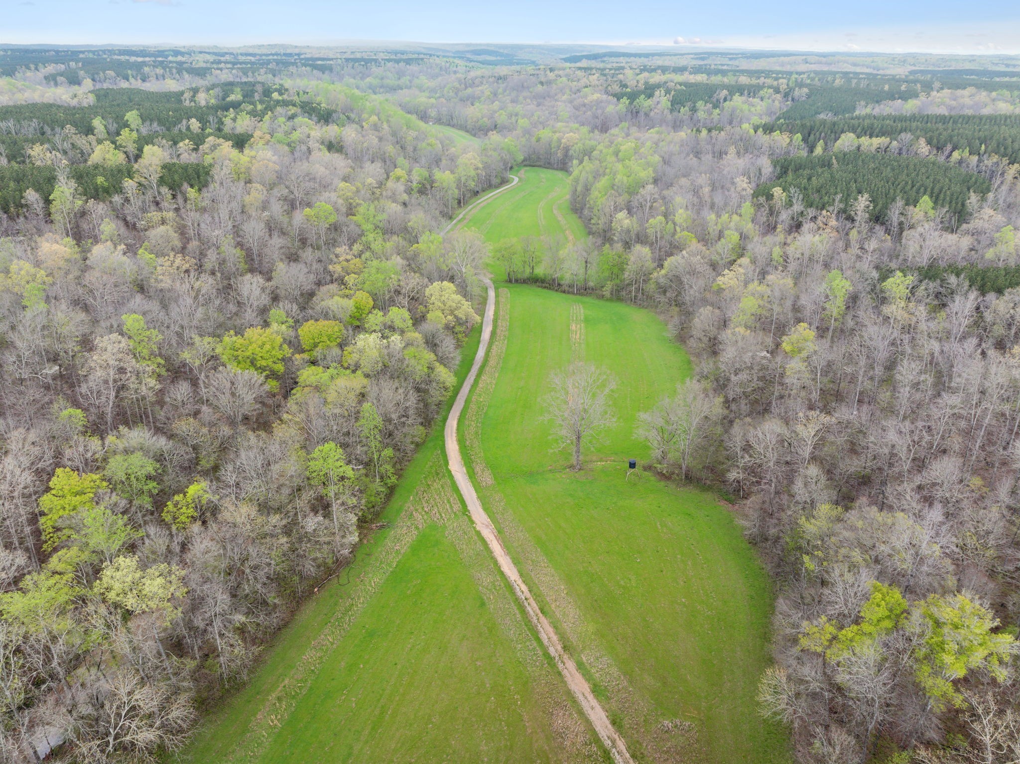 3105 Coy Hill Rd Property Photo 95