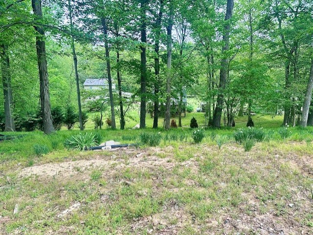 110 Fox Squirrel Dr Property Photo 1