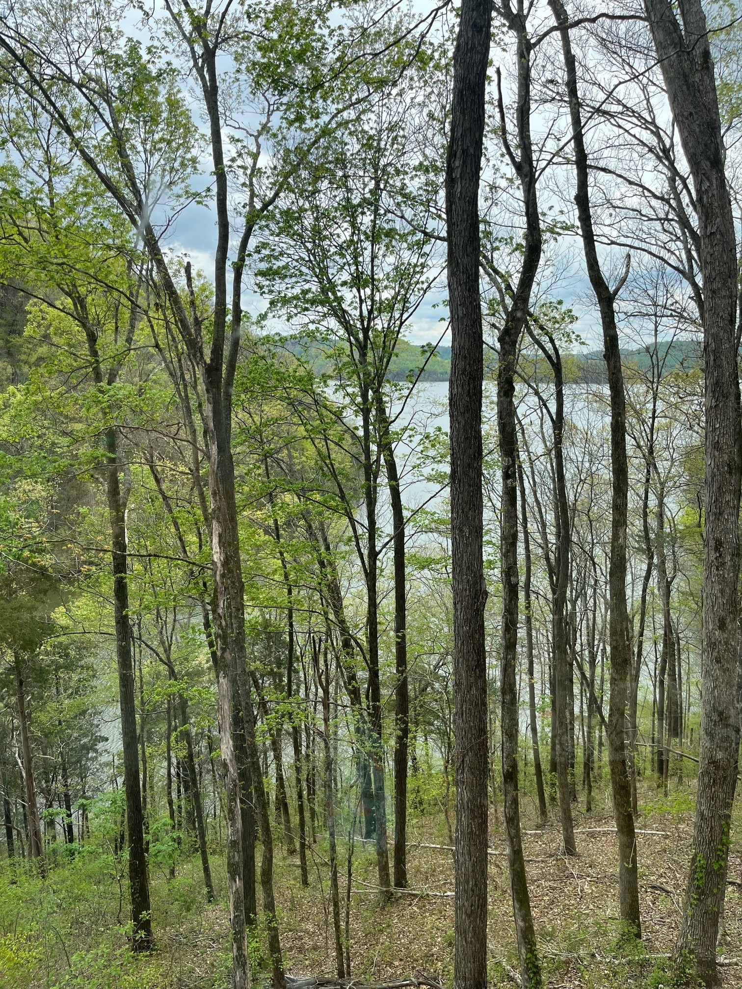 1490 Ford Rd Property Photo 2