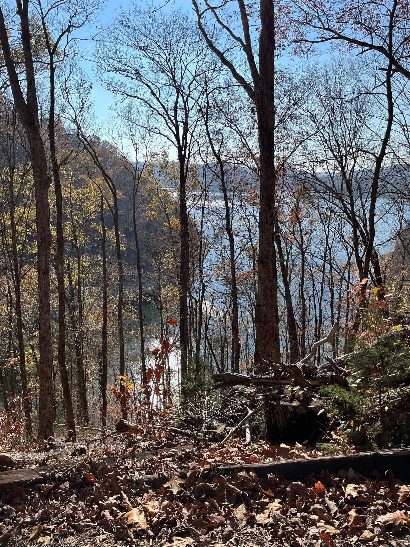 1490 Ford Rd Property Photo 3