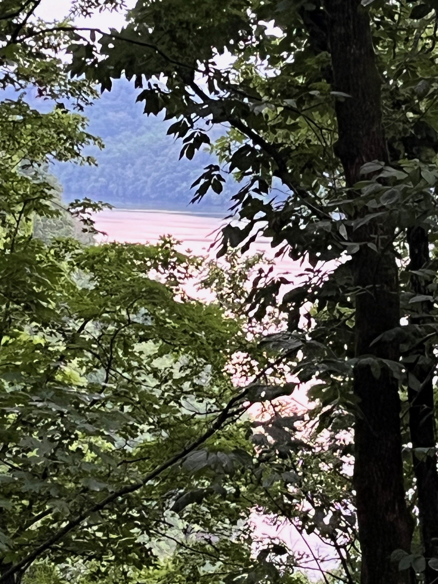 1490 Ford Rd Property Photo 23