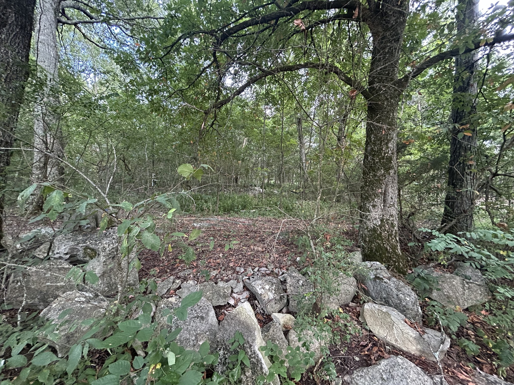 0 Greenhaw Road Property Photo 1