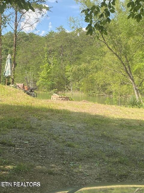 7 Pleasure Rd Property Photo 1