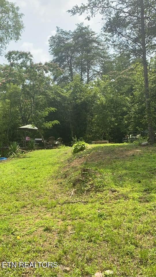 7 Pleasure Rd Property Photo 9
