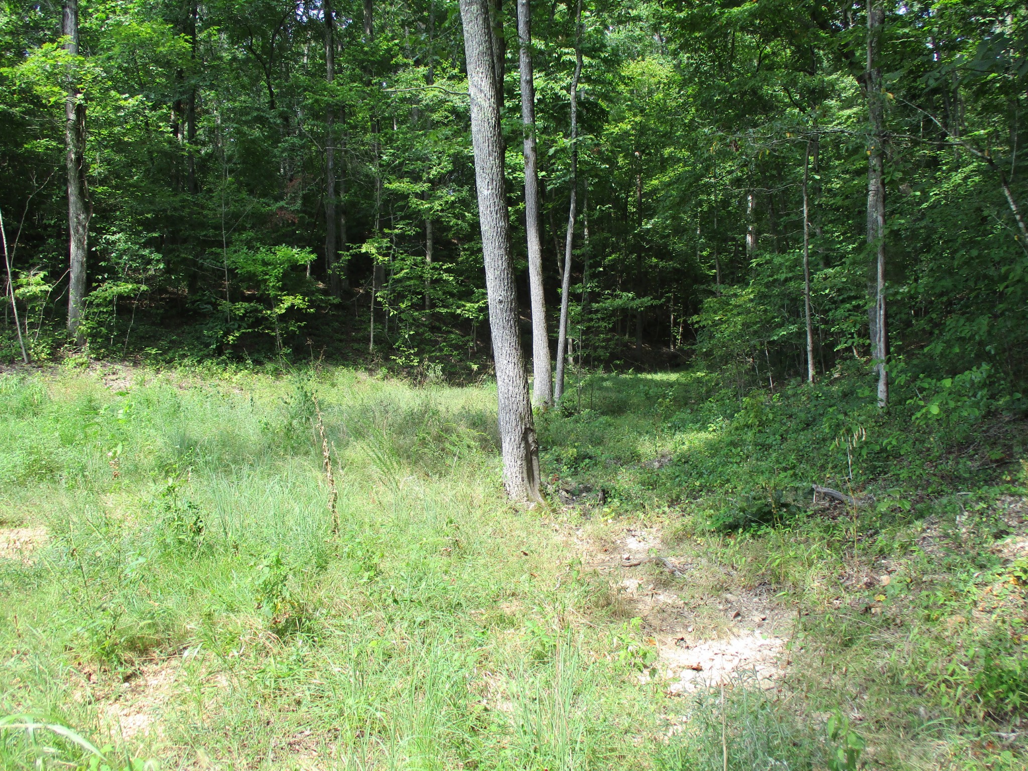 0 Red Bank Creek Rd Property Photo 1