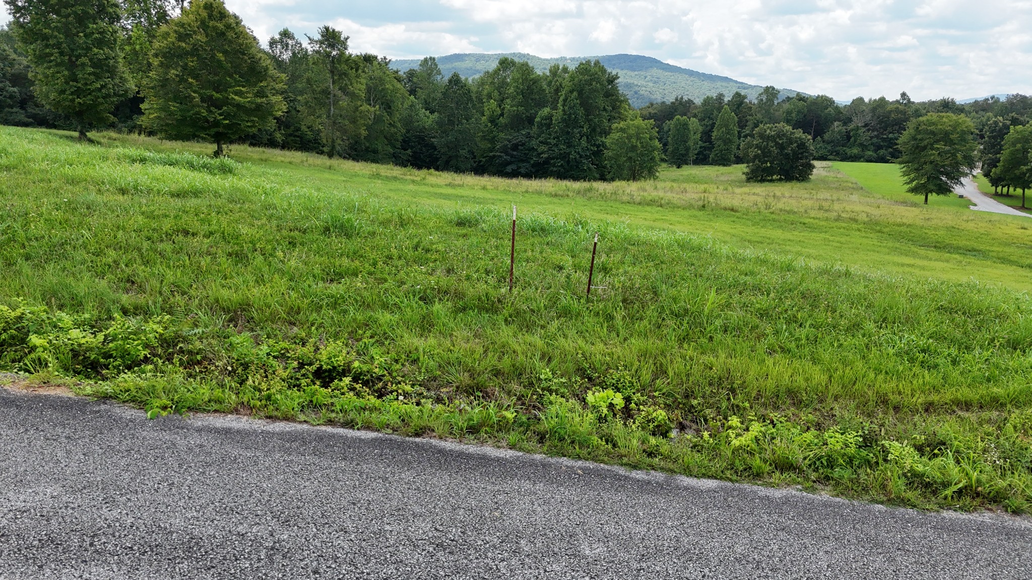 0 Collins Run Property Photo