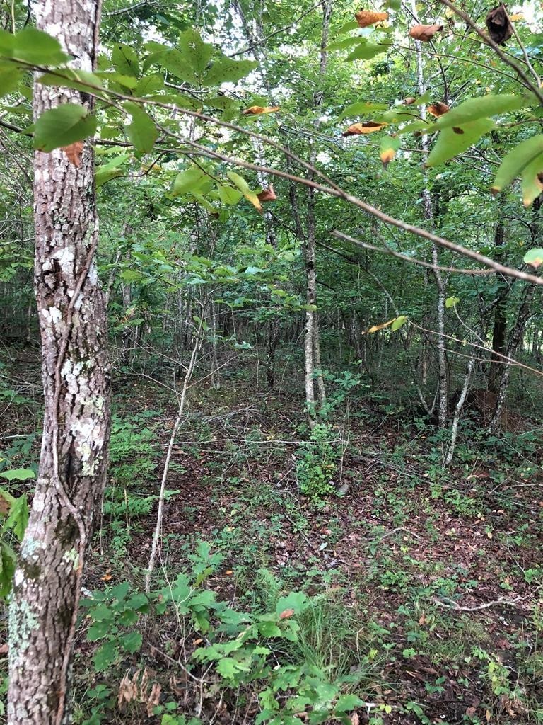 39 Luka Lane Property Photo 1