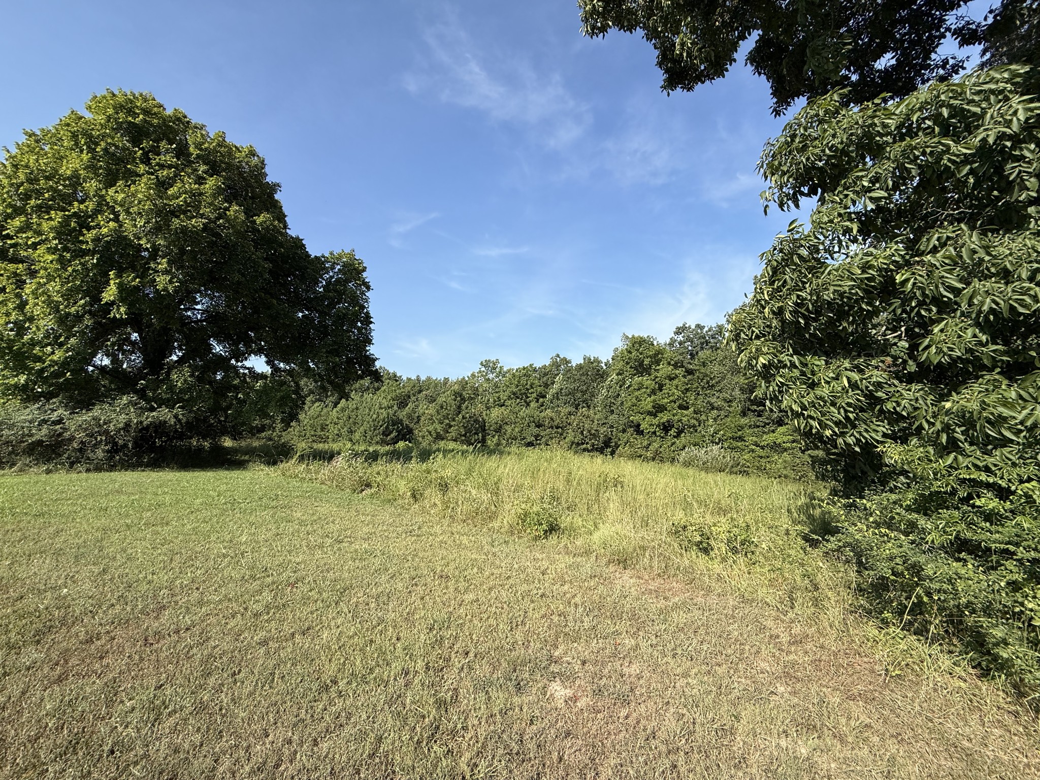 1331 Highway 100 Property Photo 21