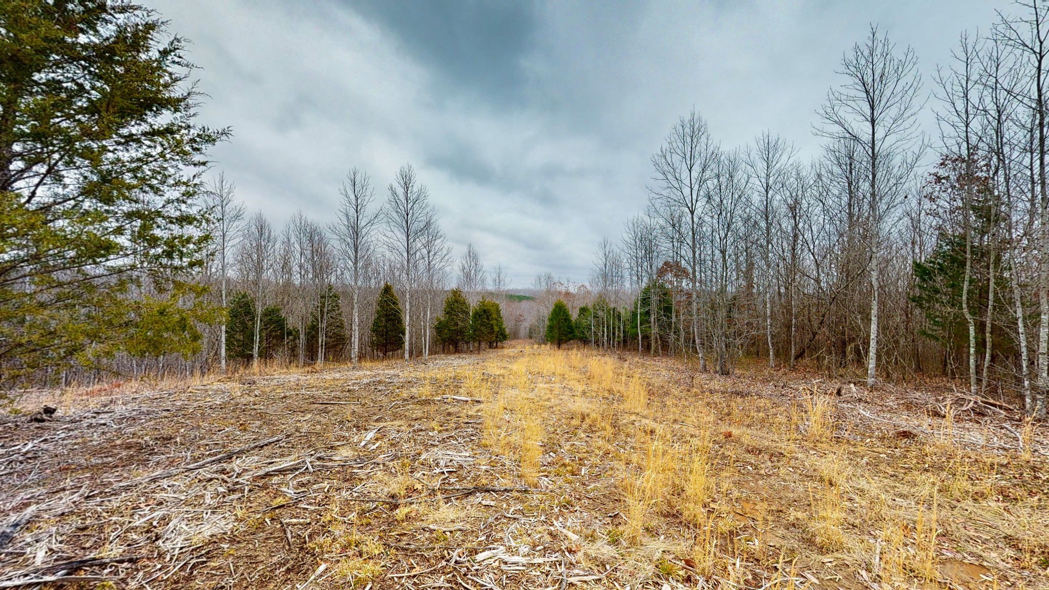 0 Horseshoe Hollow Rd Property Photo