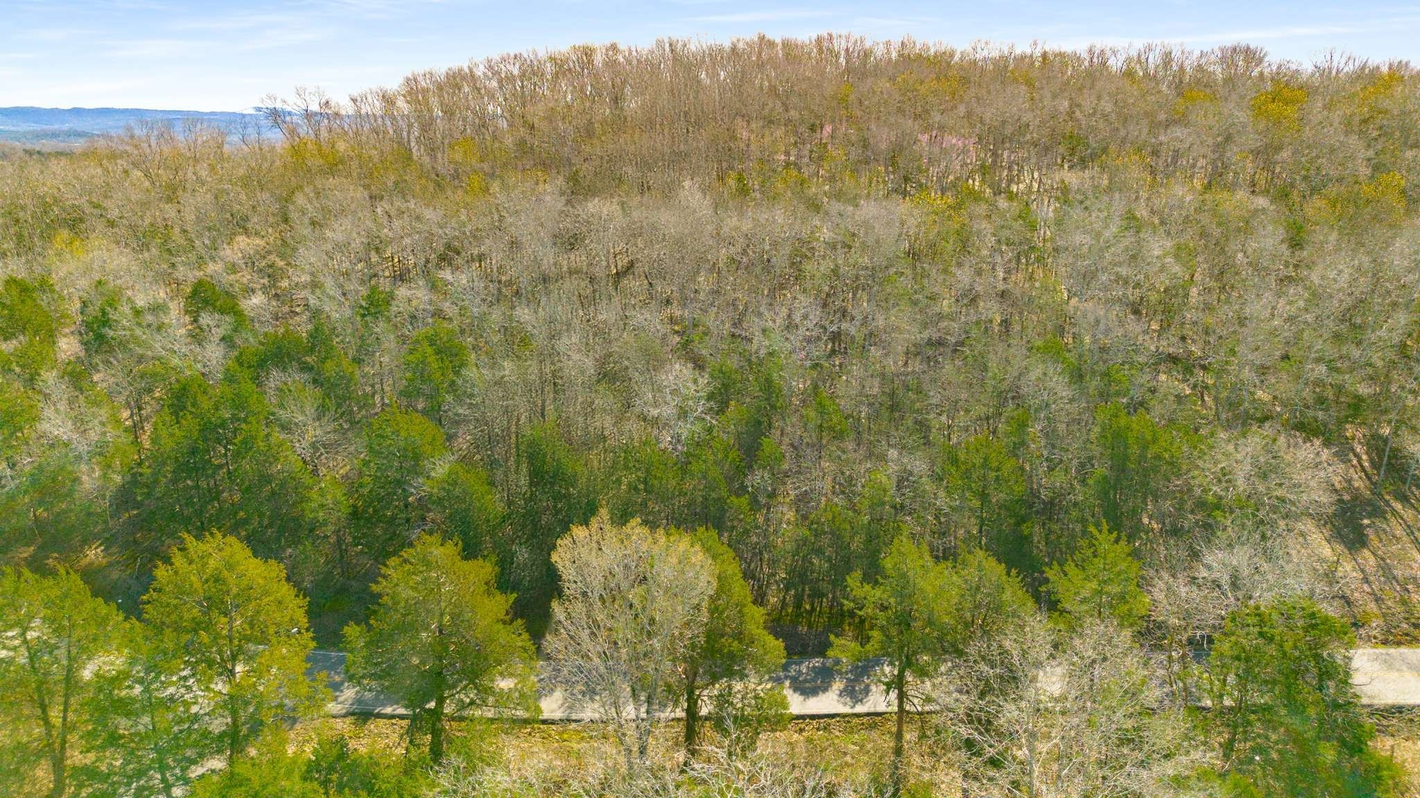 0 Cranor Rd Property Photo 5
