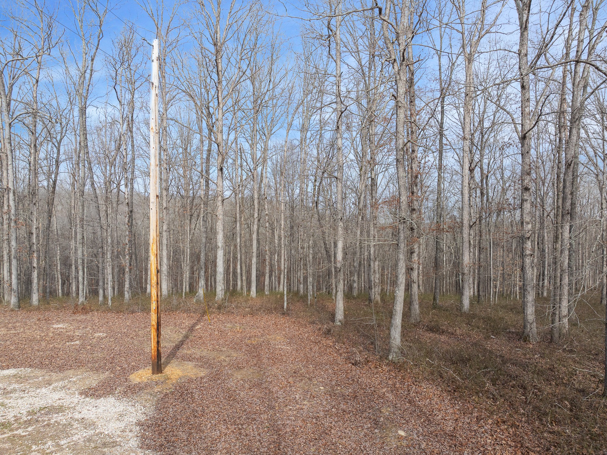0 Wild Daisy Ct Property Photo 6