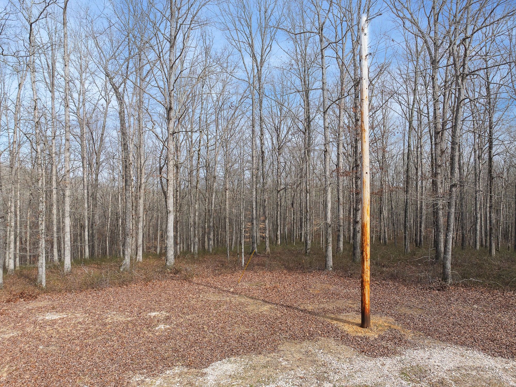0 Wild Daisy Ct Property Photo 7