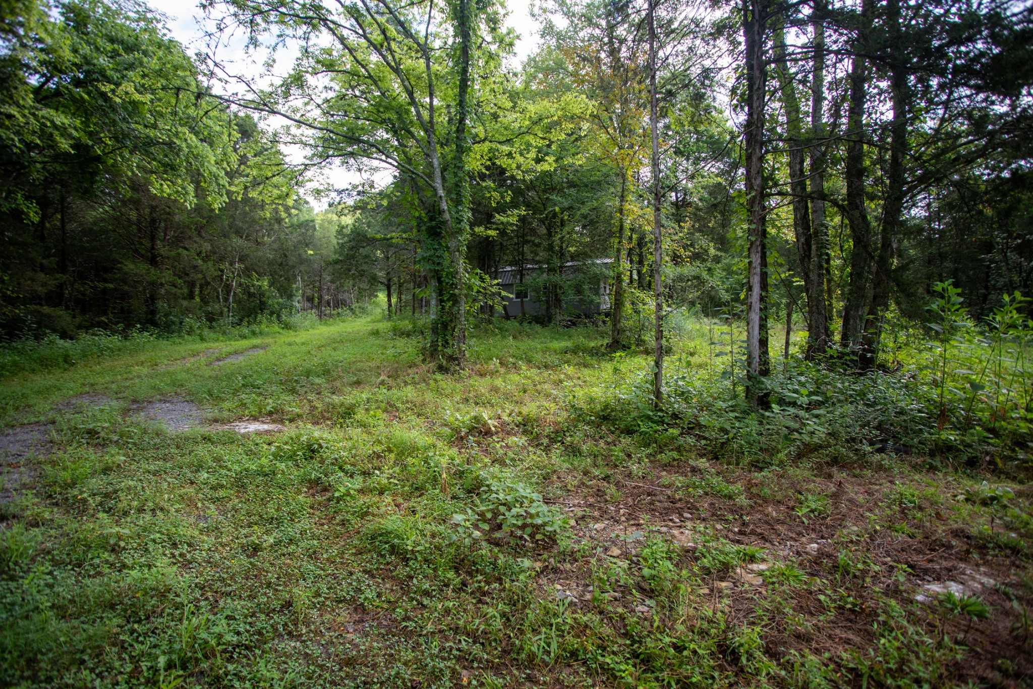 193 Dixon Ln Property Photo 25