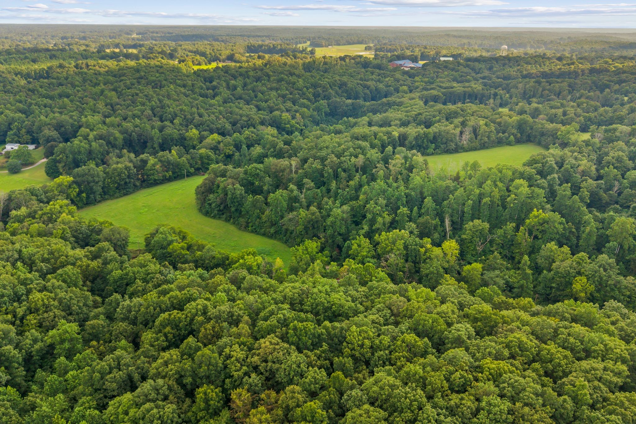 1150 Bell Hollow Rd Property Photo 5