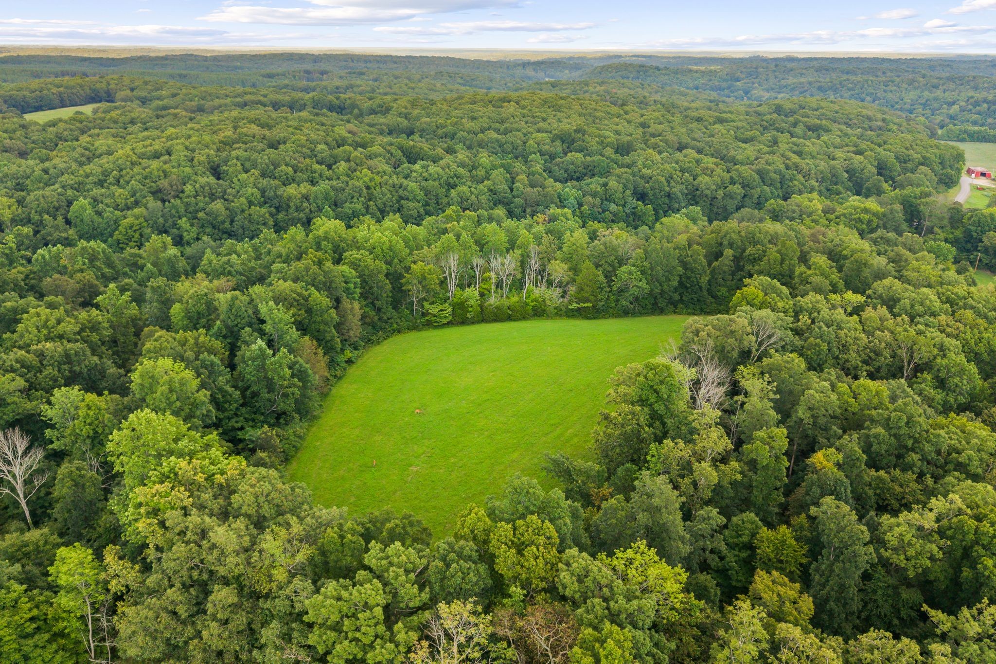 1150 Bell Hollow Rd Property Photo 8