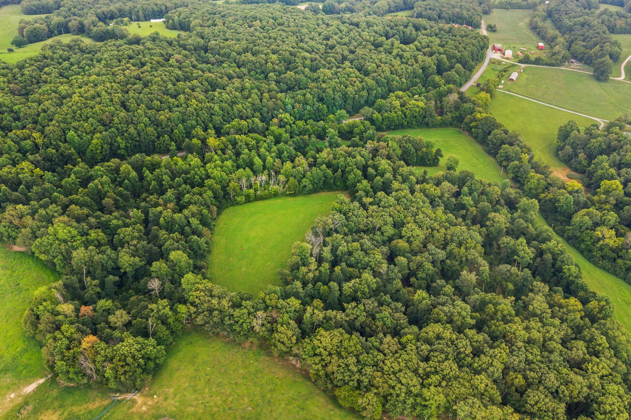 1150 Bell Hollow Rd Property Photo 9