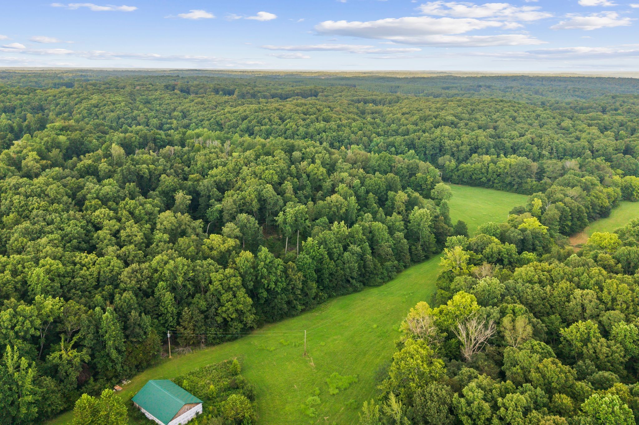 1150 Bell Hollow Rd Property Photo 11