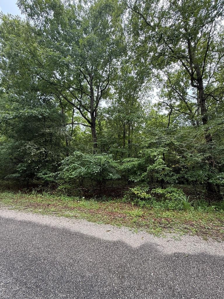 3038 Oklahoma Dr Property Photo 1