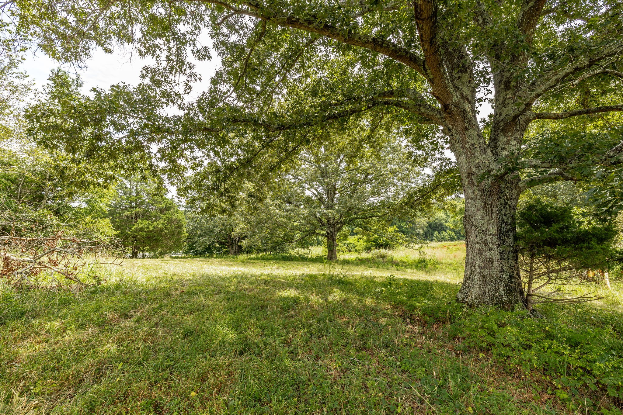 3365 Highway 259 Property Photo 2