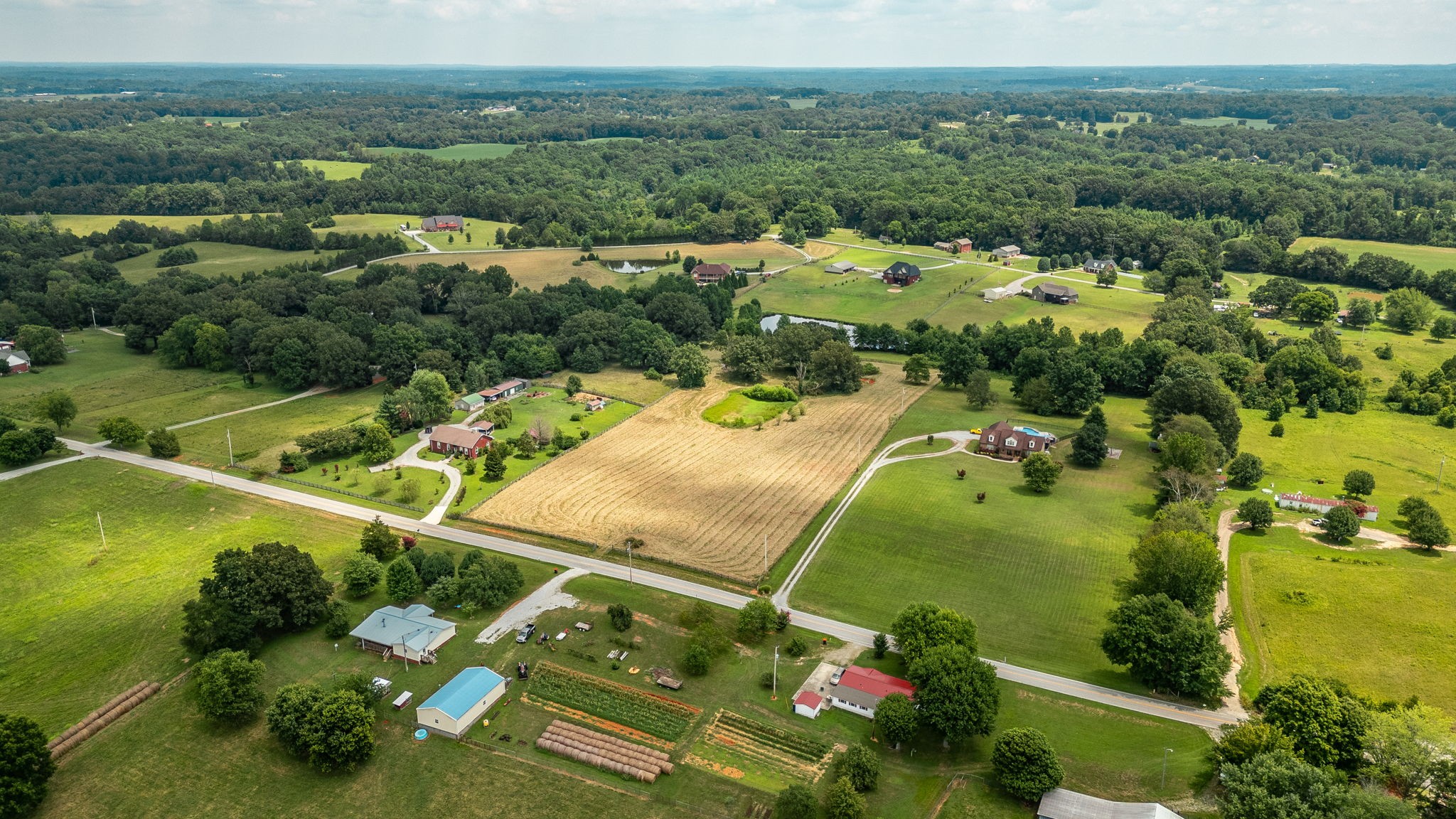 3365 Highway 259 Property Photo 6