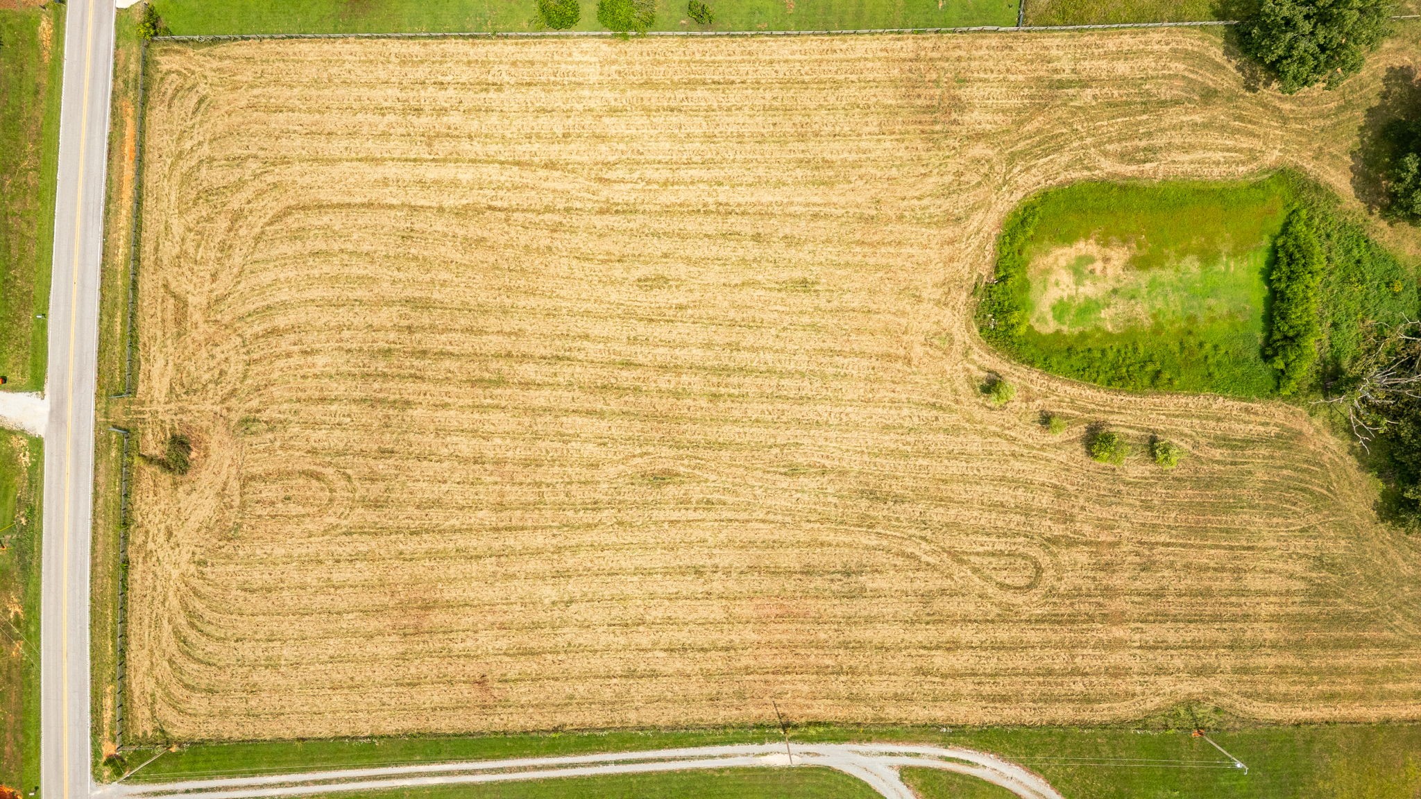 3365 Highway 259 Property Photo 16