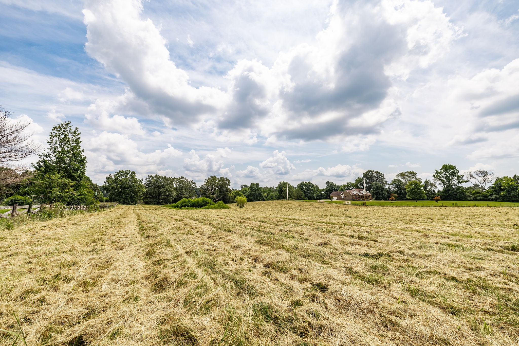 3365 Highway 259 Property Photo 23