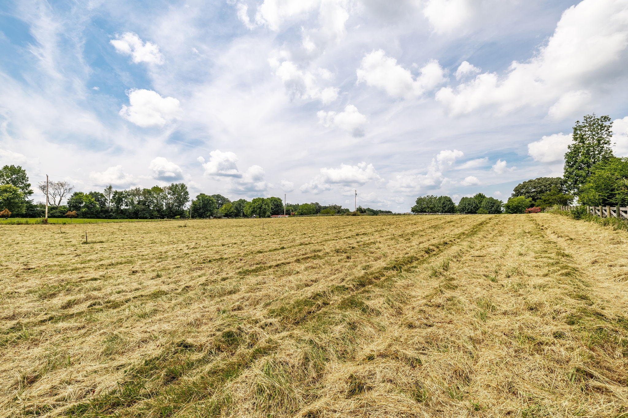 3365 Highway 259 Property Photo 28