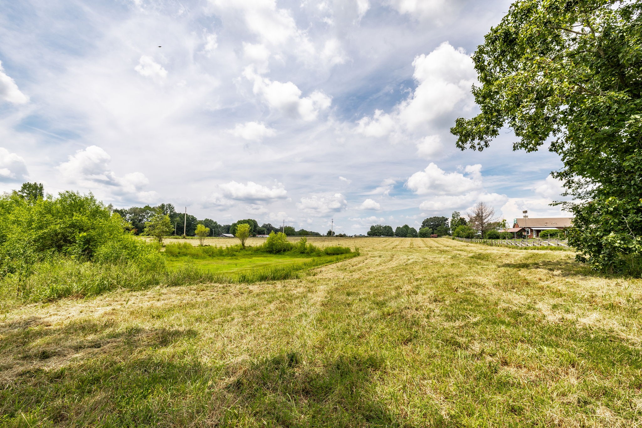 3365 Highway 259 Property Photo 29