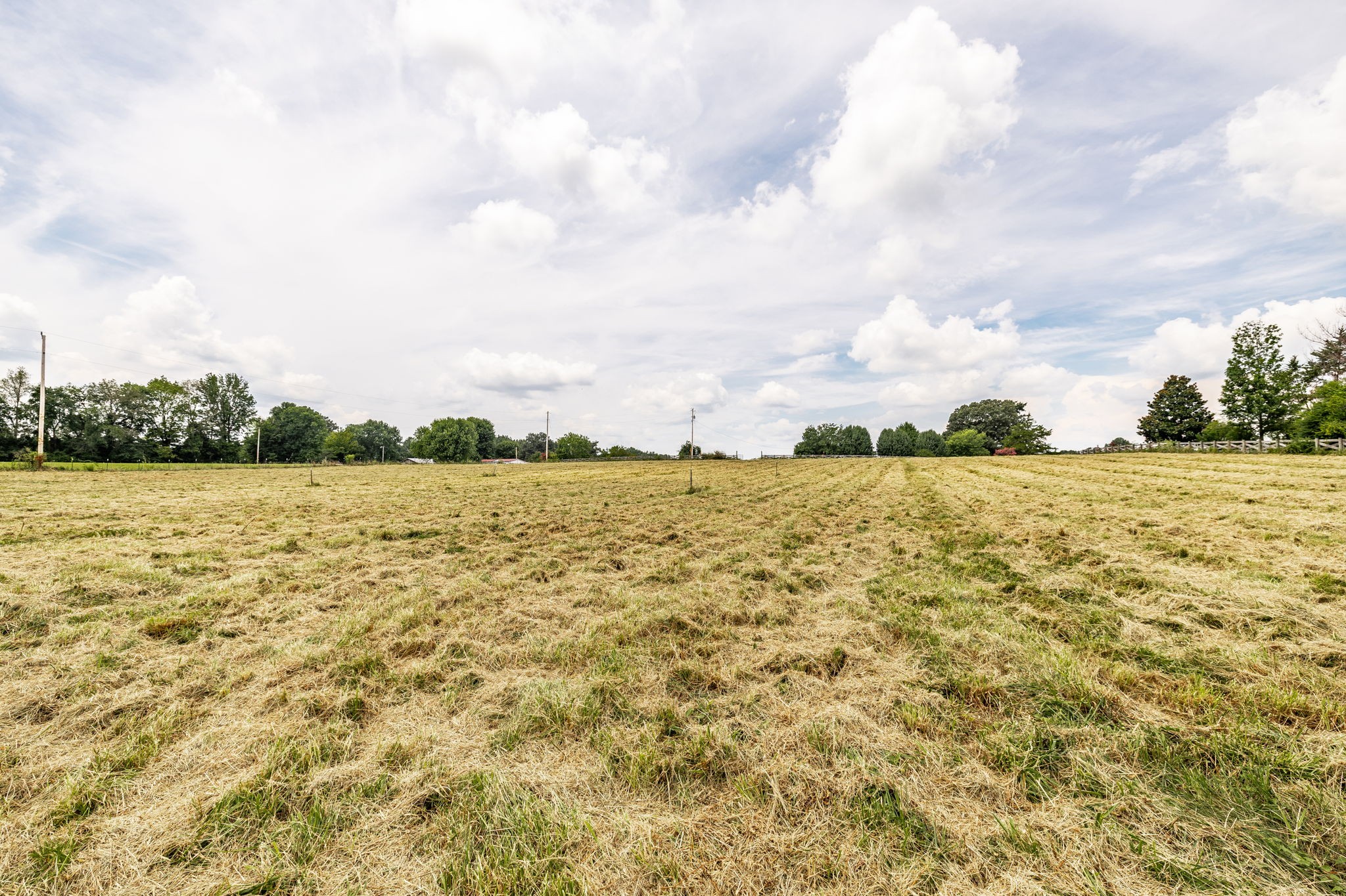 3365 Highway 259 Property Photo 30
