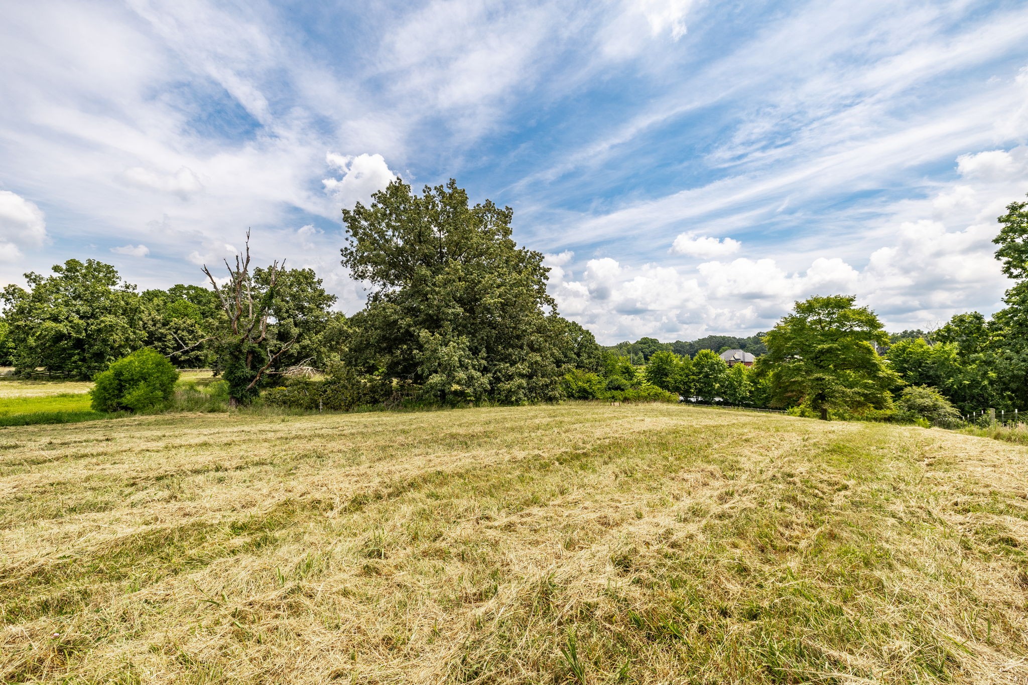 3365 Highway 259 Property Photo 31