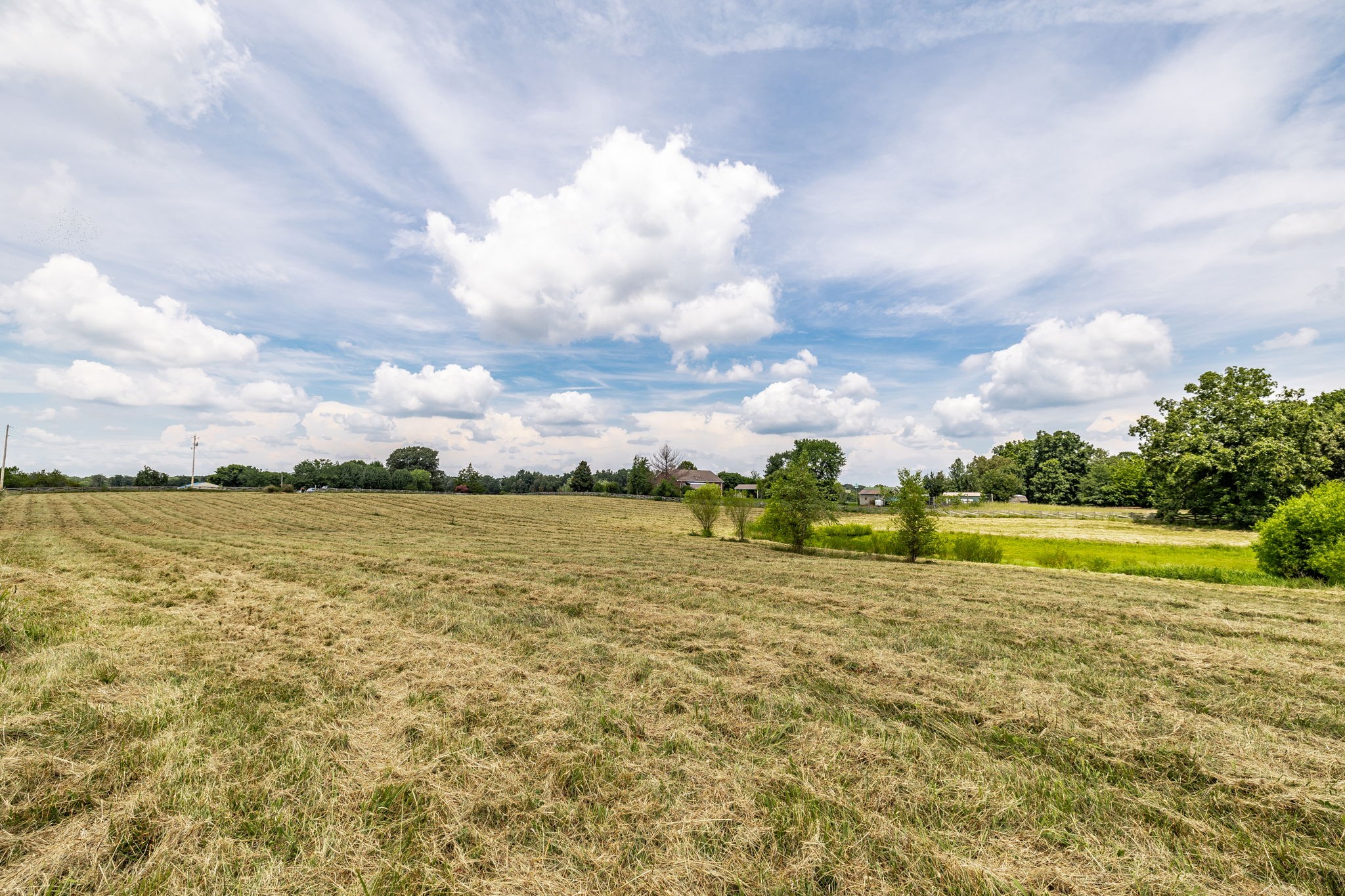 3365 Highway 259 Property Photo 32