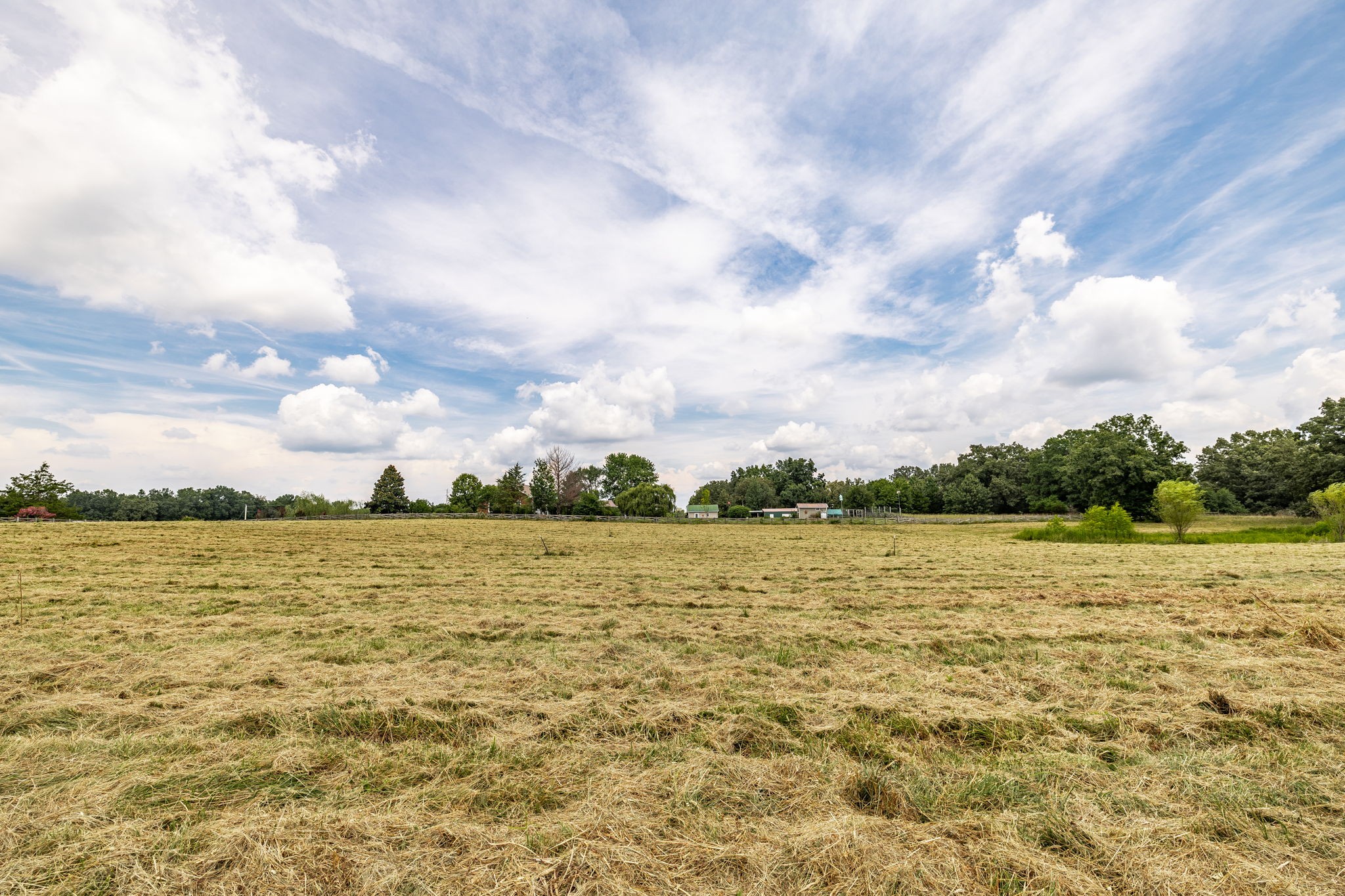 3365 Highway 259 Property Photo 34