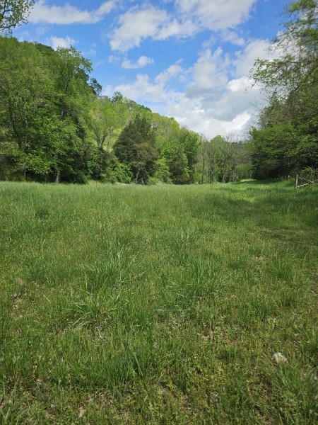 263 Club Springs Rd Property Photo 1