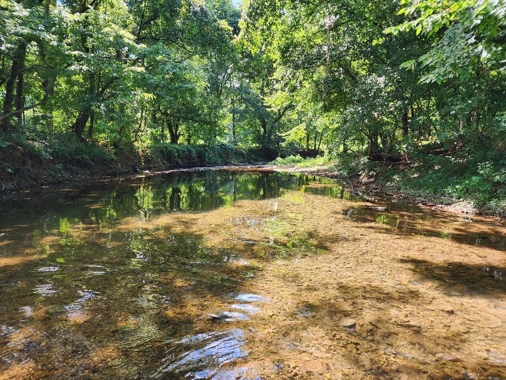 0 Taurus Farm Rd Property Photo 5