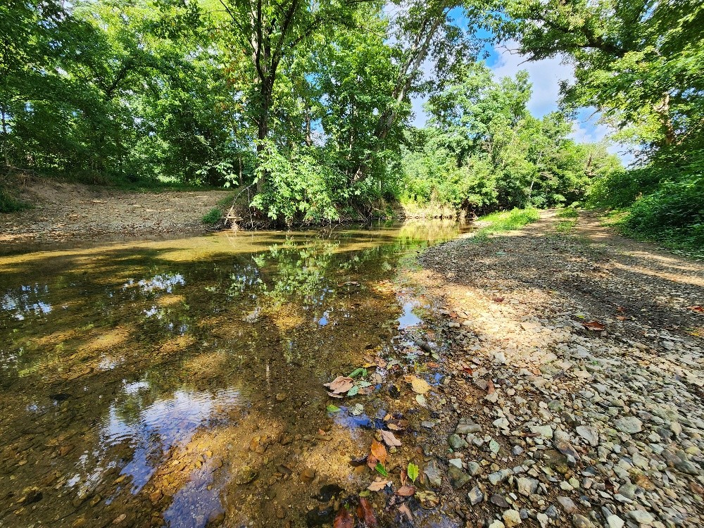 0 Taurus Farm Rd Property Photo 6