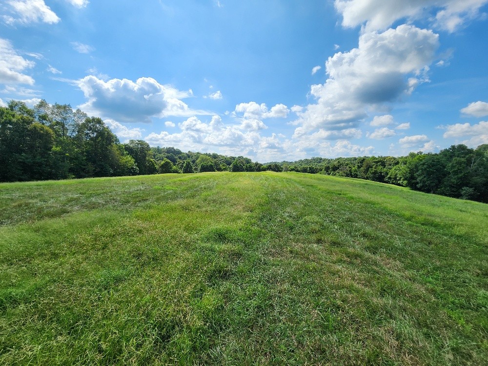 0 Taurus Farm Rd Property Photo 18