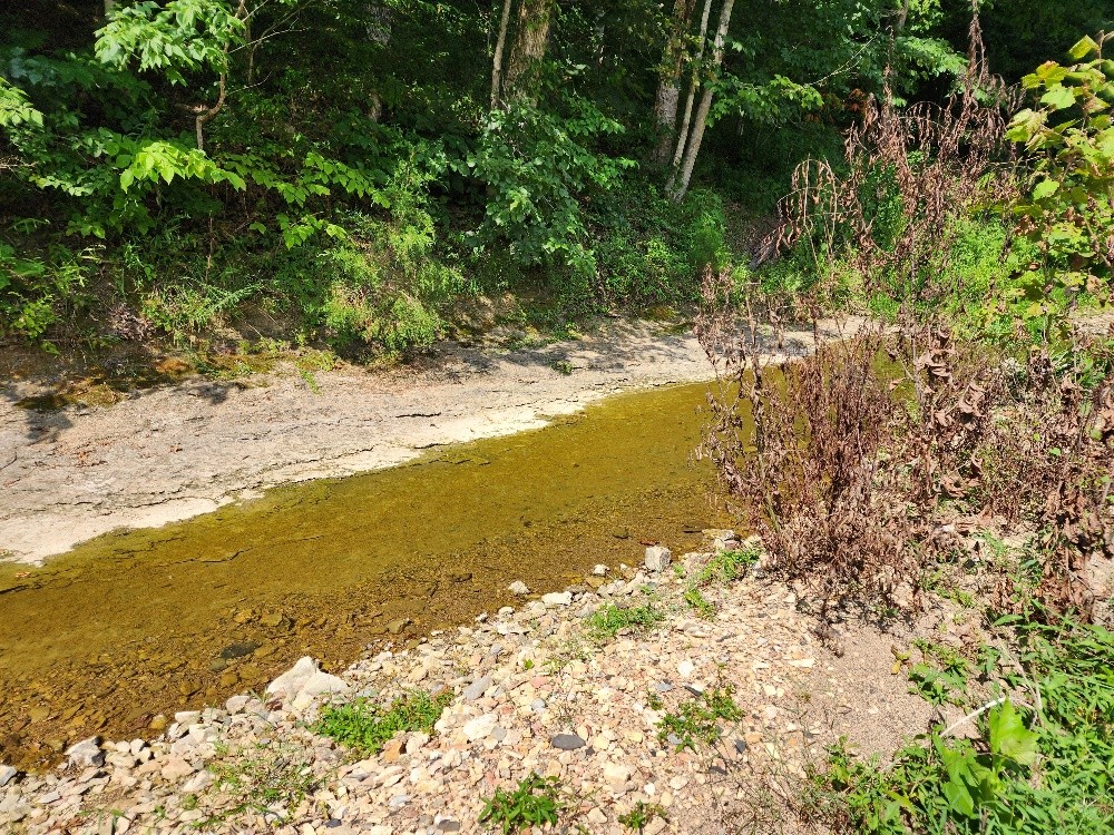 0 Taurus Farm Rd Property Photo 27