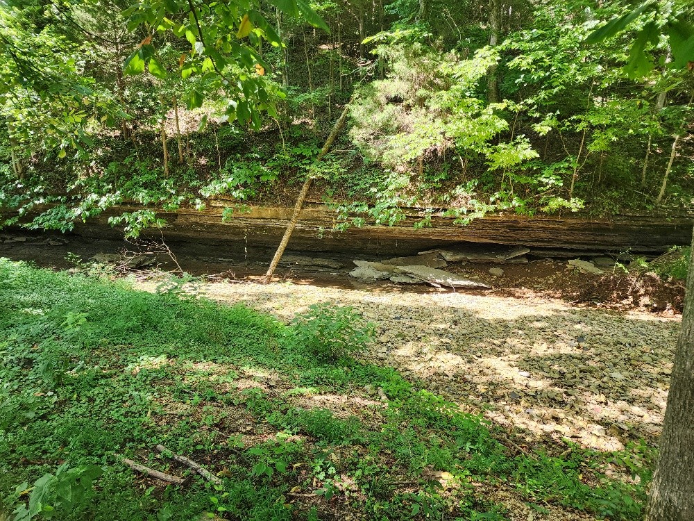0 Taurus Farm Rd Property Photo 28
