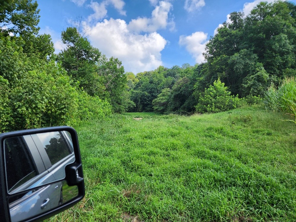 0 Taurus Farm Rd Property Photo 29
