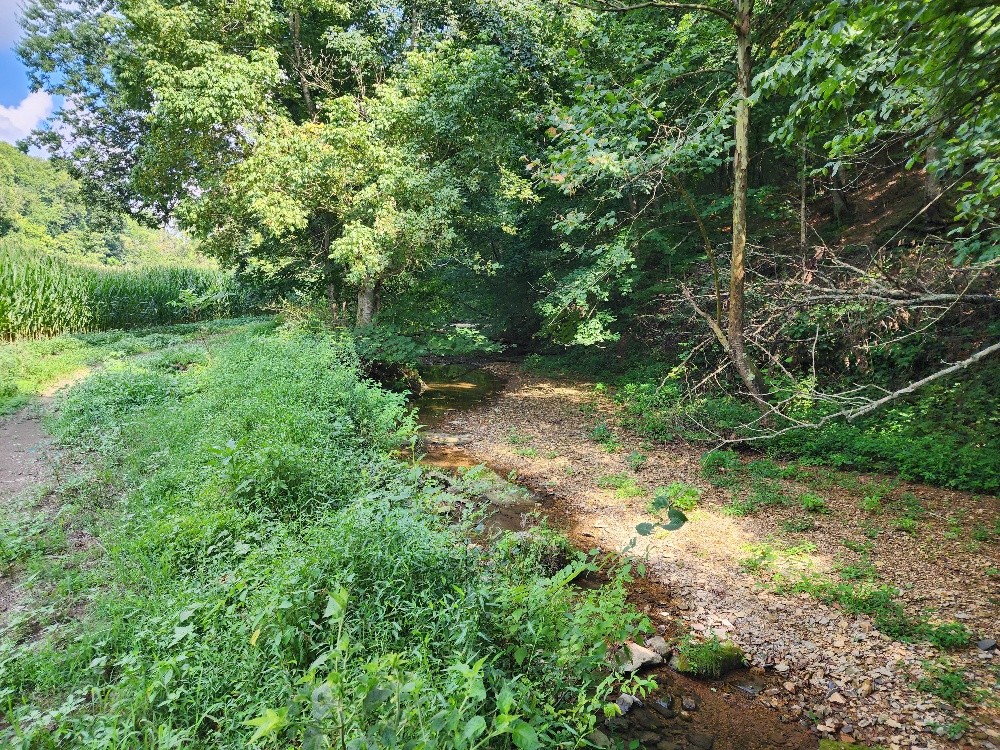 0 Taurus Farm Rd Property Photo 30