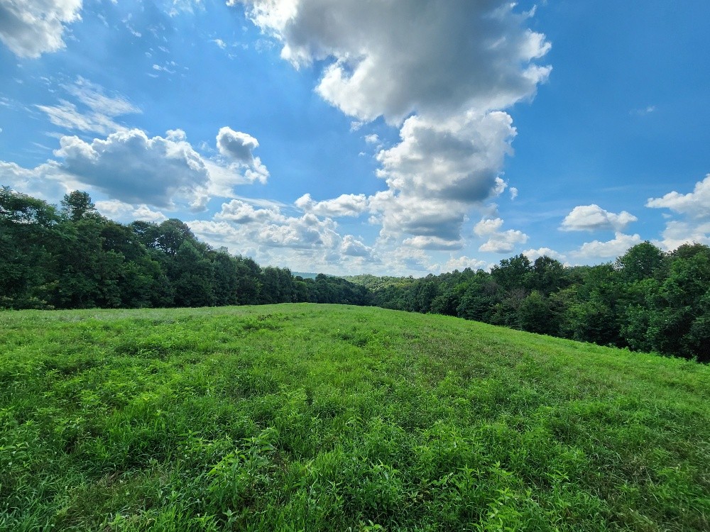 0 Taurus Farm Rd Property Photo 31